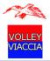 logo PVP Volley Viaccia