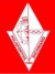 logo Team Volley Valdisieve