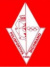 logo Pol. Dicomano