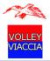 logo Calenzano Volley